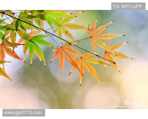 年薪5470万，带队为难0胜4负！买卖你来做中心，可你逐步打成绿叶